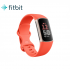 Fitbit Charge 6 Health Fitness Exercise Tracker Smart Watch Coral Champagne Gold | 79-GA05184-GB